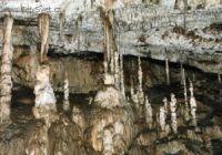 Fotky: Jihomoravsk� kraj (foto, obrazky)