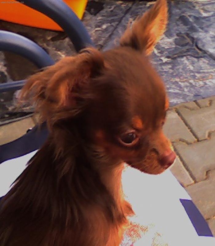 Foto: Magali-Megi na houpa�ce