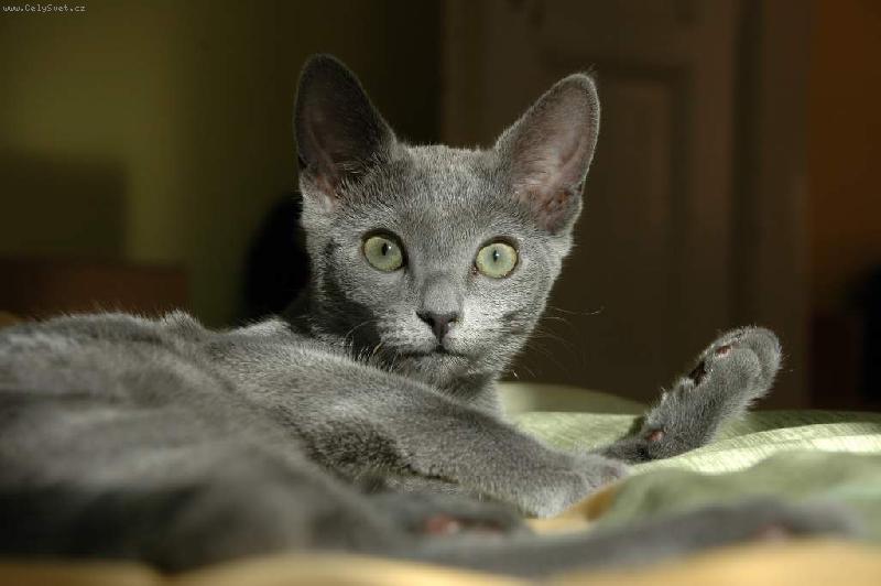 Foto: Zah�jen� odpo�inku