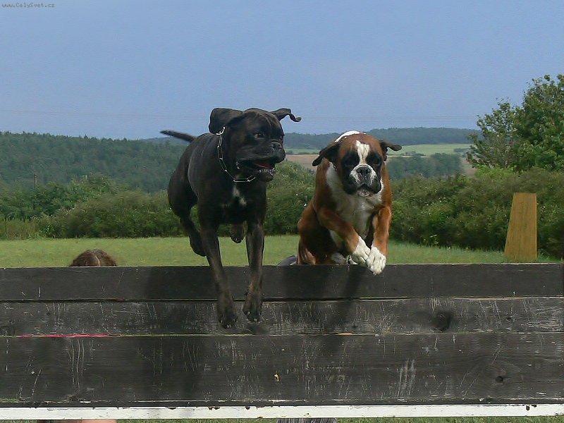 Foto: Djulinka a Wini