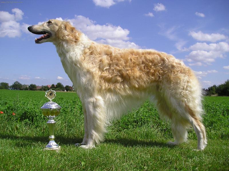 Foto: ICH Avar Bistkupstwo-7-mi n�sobn� �ampion kr�sy Avar Bistkupstwo s jedn�m ze sv�ch poh�r�..