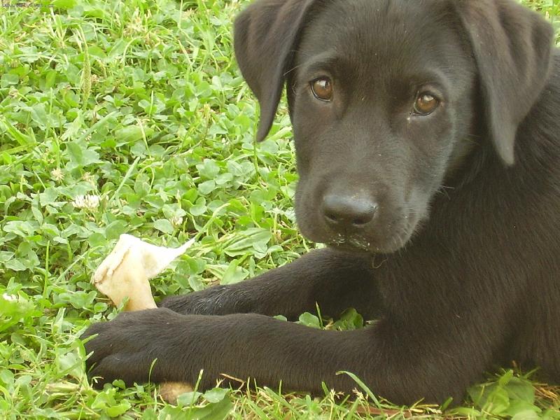 Foto: Argo-st�sk� se mi