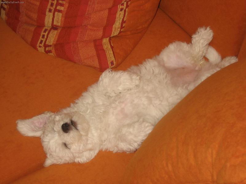 Foto: n� mil��ek