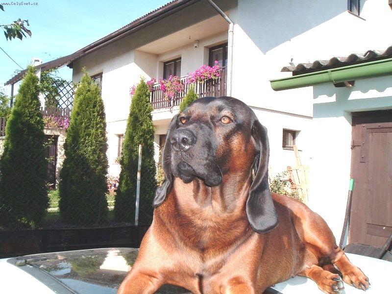 Foto: tady bydl�m j�