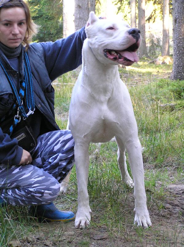 Foto: Rock-CHS Blansky les-Audacity Rock