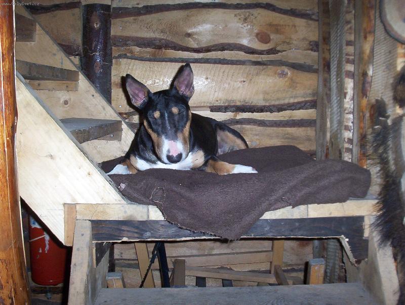 Foto: aj si rada podr�mem