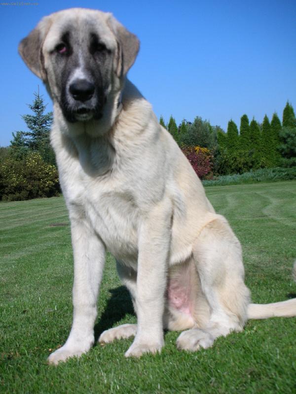 Foto: Adam Johnsdorf-Adam na poli, �t�n� 6 m�s�c�