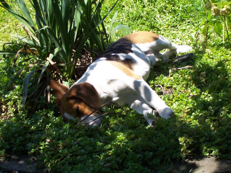 Foto: ozzy-odpo�inek na chalup�