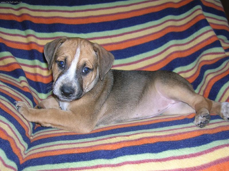 Foto: Nov� �lenka rodiny