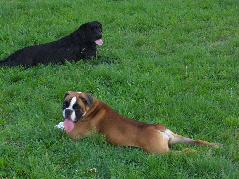 Foto: Paja-kamar�dka