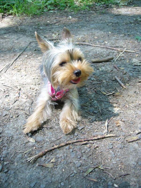 Foto: MIA z D���na