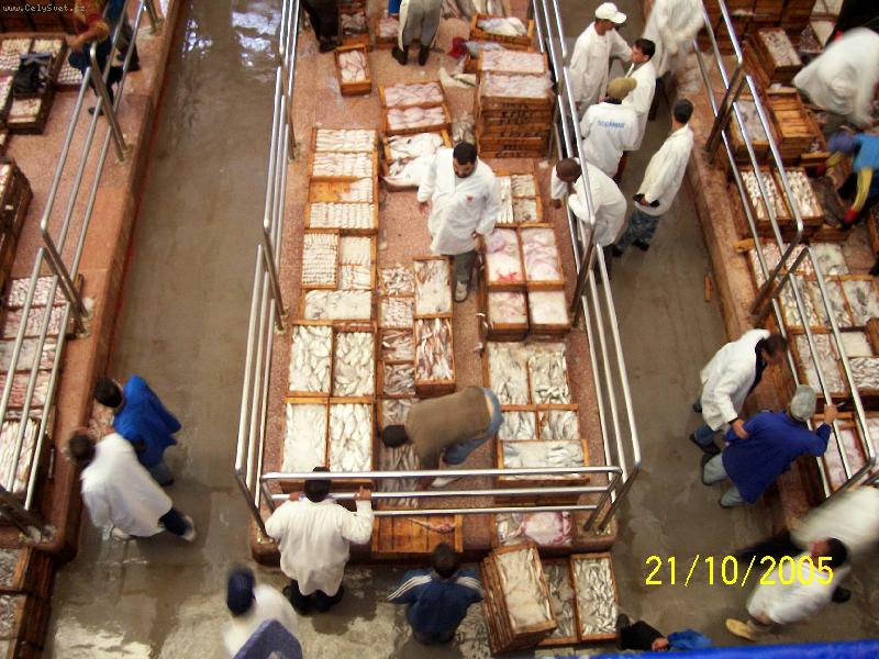 Foto: Ryb� trh-p��stav v Agadiru