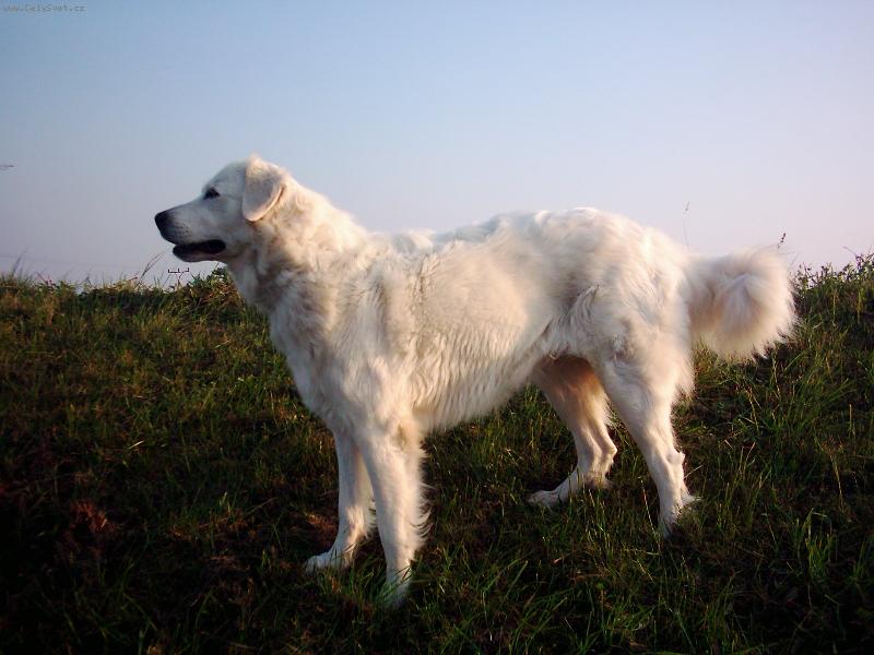 Foto: Brita-17 m�s�c�