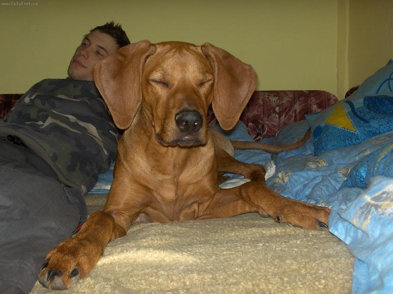 Foto: Margareta-lenoseni