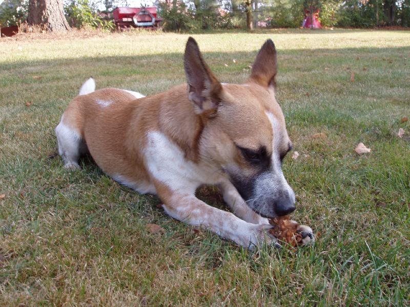 Foto: Den��ek-�i�ka