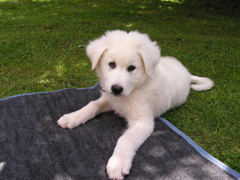 Foto: Fal��ek-Chcete m�???