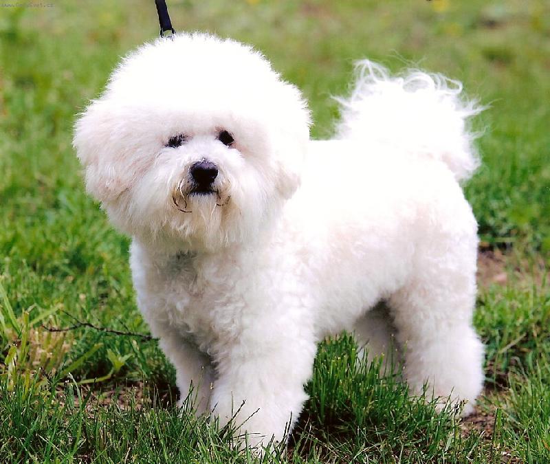 Foto: na vych�zce-tak u� poj� a� jdem...