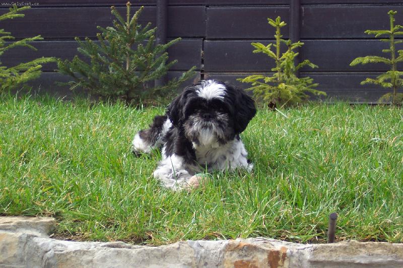 Foto: J� jsem Valdemar to kouk�te co?