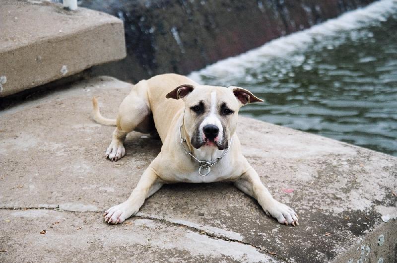 Foto: Ronny-N� mil��ek