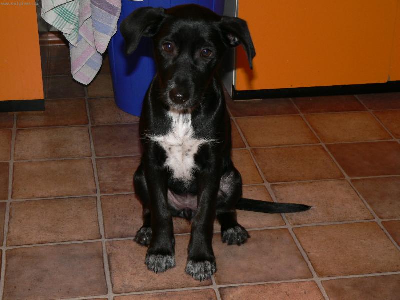 Foto: A zase Ice tea-mimimimimi