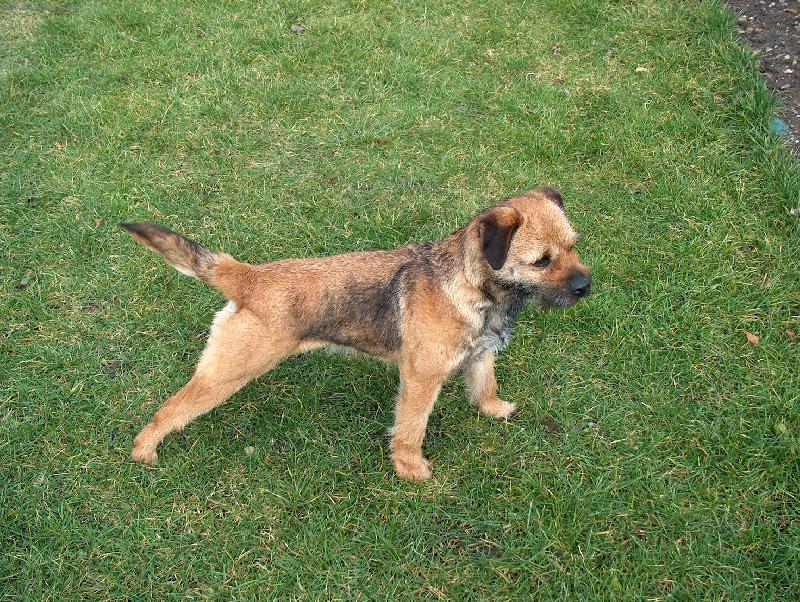 Foto: alina z Mo�nova dvora