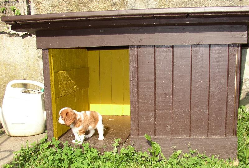 Foto: Dixik-Kaval�rek