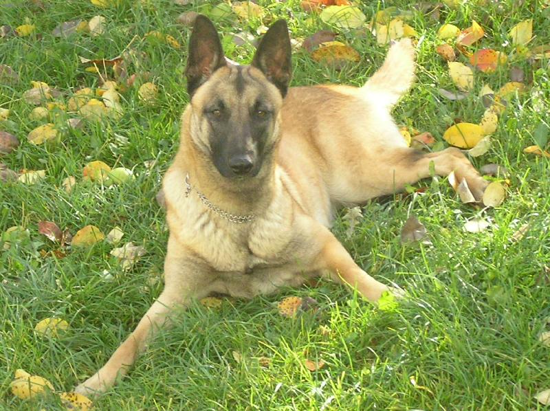 Foto: Ar�sek-To je sle�na, co?