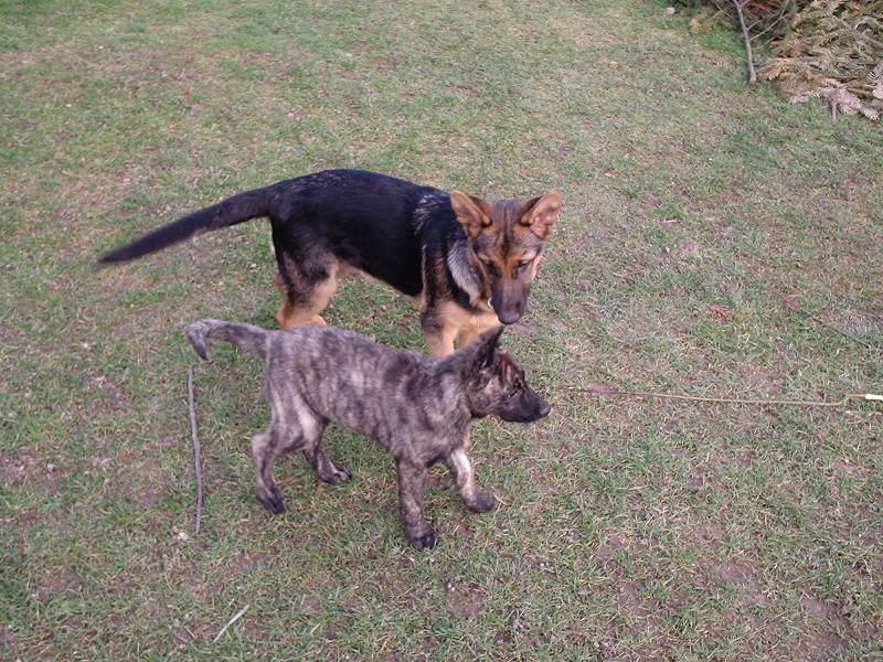 Foto: Arwenny a Shagy