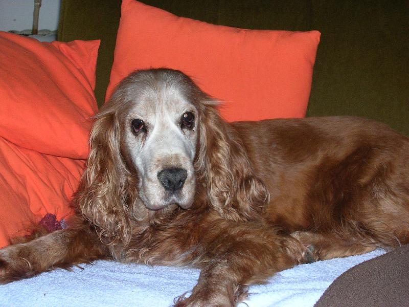 Foto: podohl�-Ketynka