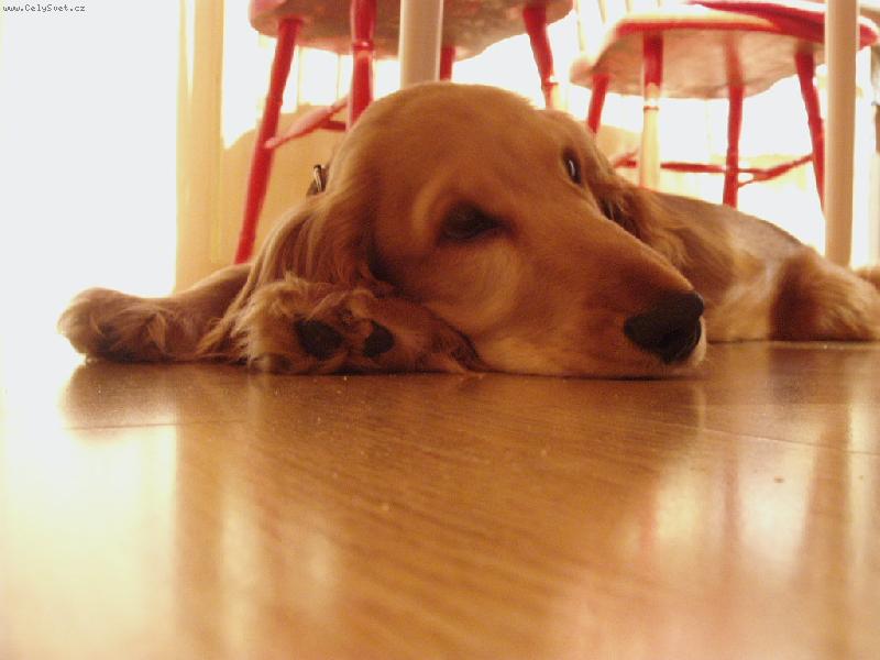 Foto: Koker Br�o:o)