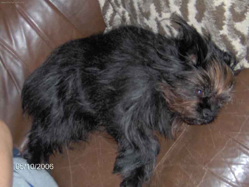 Foto: leh�ro-pink�