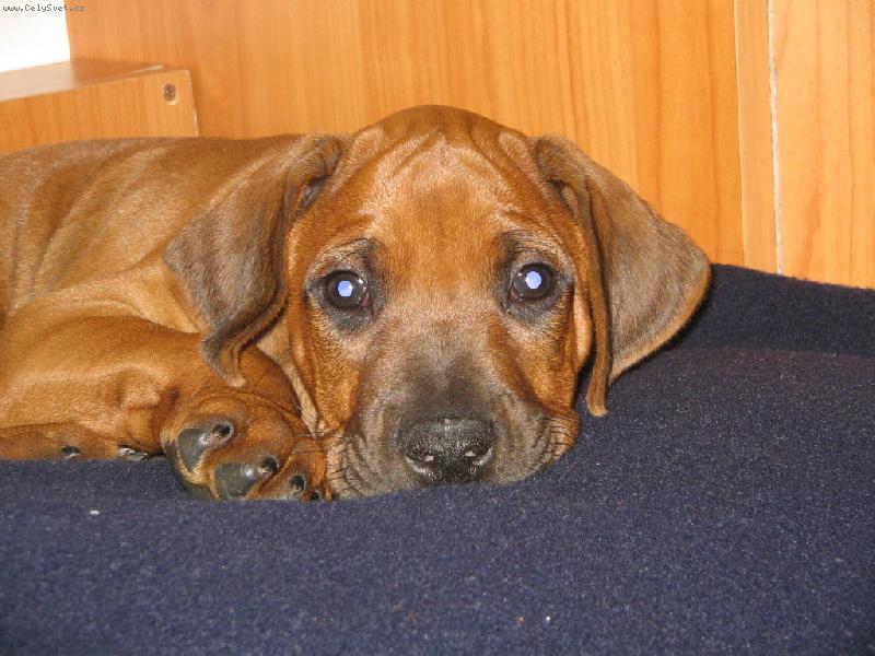 Foto: tak uz dobrou noc!-bartik