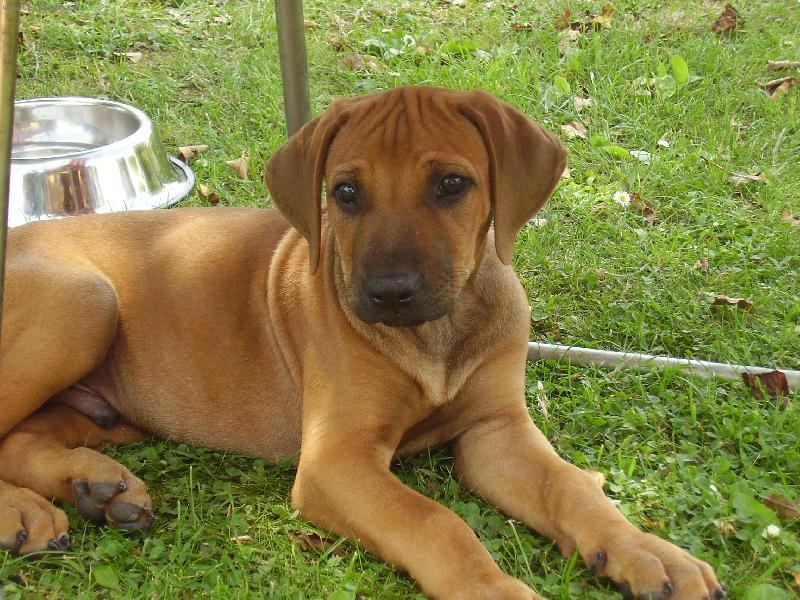 Foto: na�e �t�n�