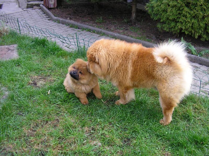 Foto: otec a syn-a te� dob�e poslouchej.....