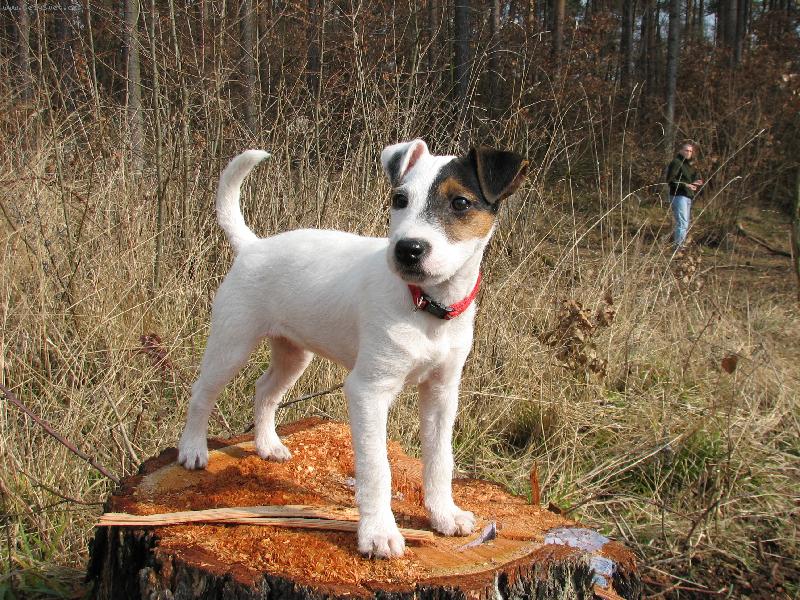 Foto: ..je�t� jedna na pa�ezu ;)