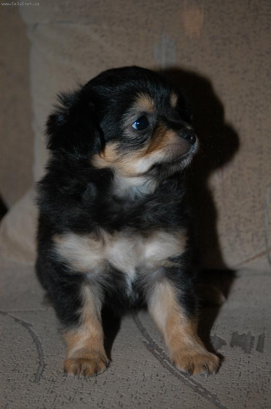 Foto: �ivav� miminka-Agginka