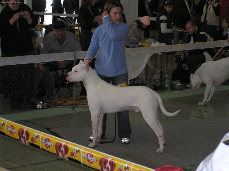 Foto: ROCK Audacity- res.CAC