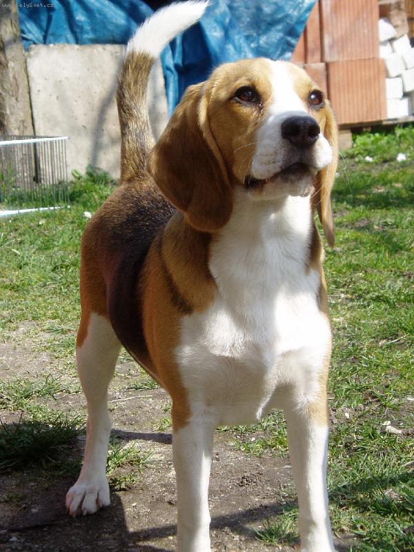 Foto: :-)-asi �t�knu