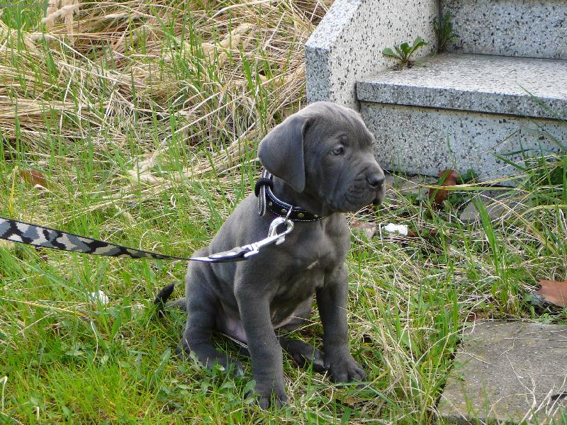 Foto: Nerou�ek-7 t�dn�