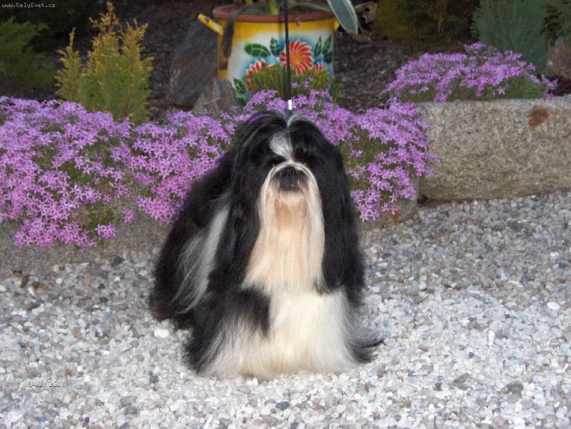 Foto: Lucifer z IVAFRE