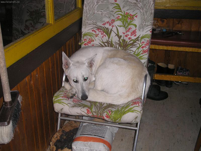 Foto: ��la-super!!!!!!!!!!!!