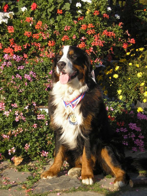 Foto: Max�k-Argonath Vala�sk� slunce