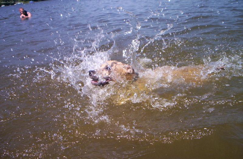 Foto: arny-miluju vodu