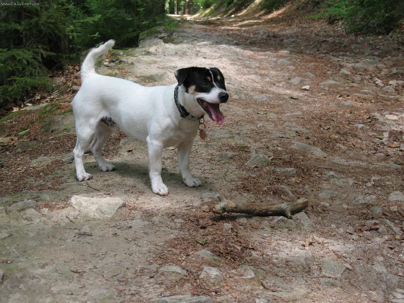 Foto: Joy�k-No tak, ho� mi ten klac�, pros�����������m :o))