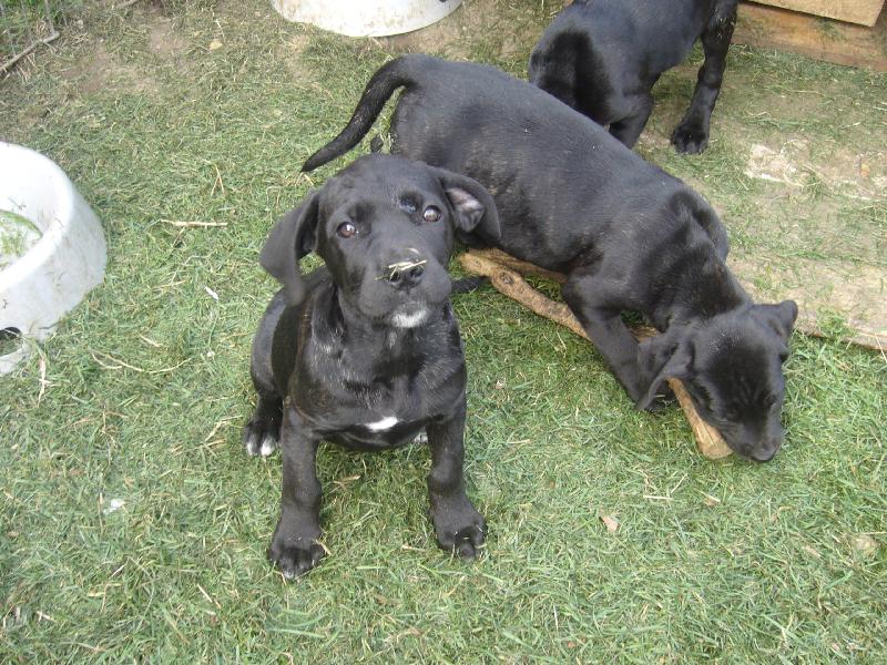 Foto: d�ti�ky :0)