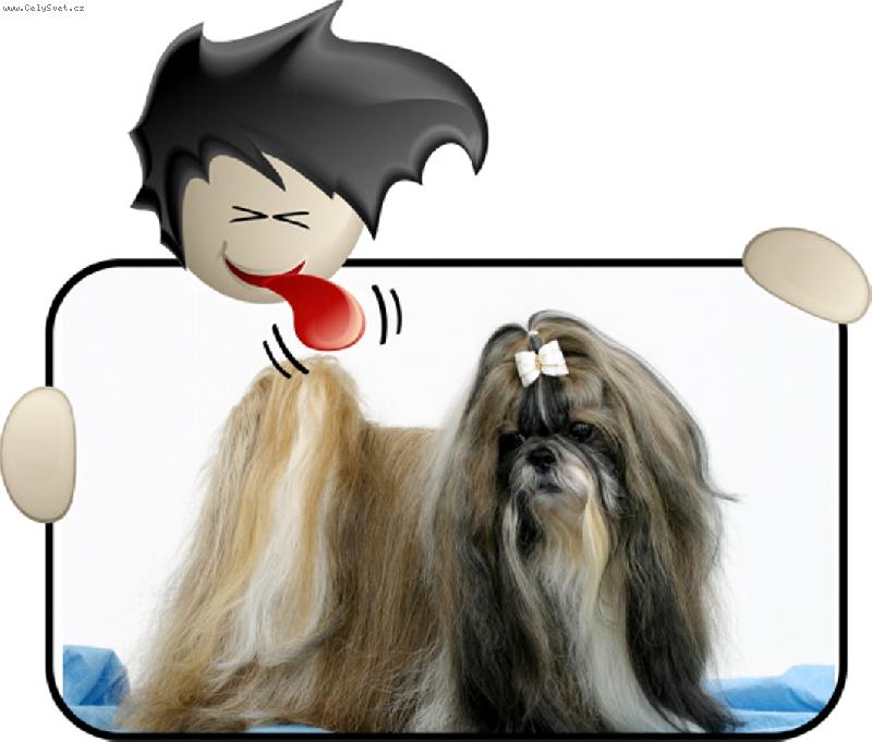 Foto: CH.Jeron Atrei