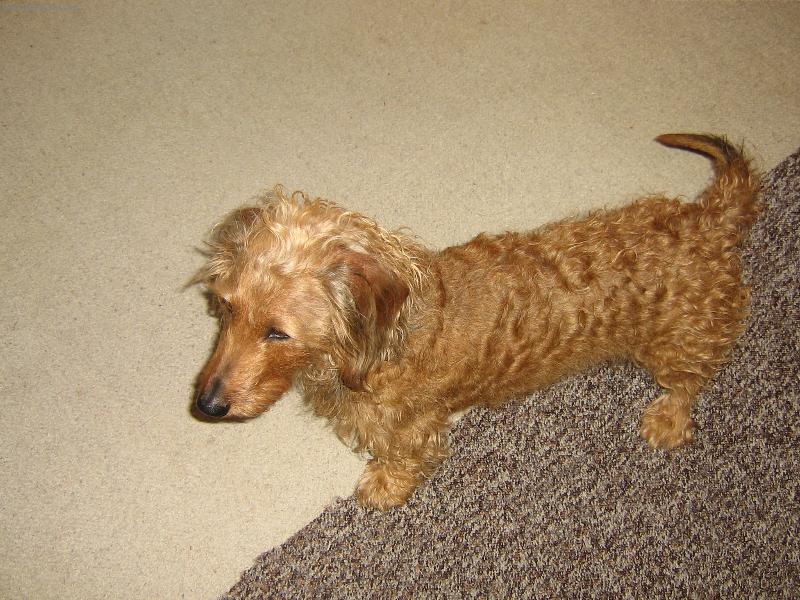 Foto: tom��ek-jazve��k