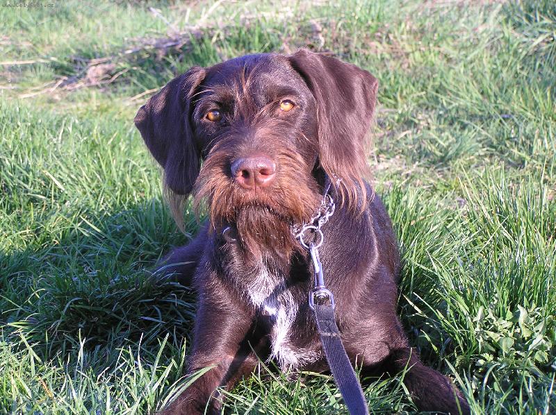 Foto: Orina z Kyjovic