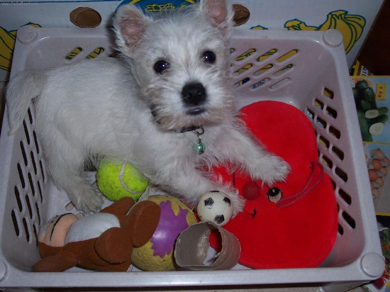 Foto: to jsem j�,kdy� jsem byl mal�