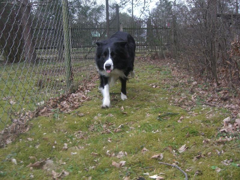 Foto: Bl�z�nek :)-www.boc-andy.wbs.cz